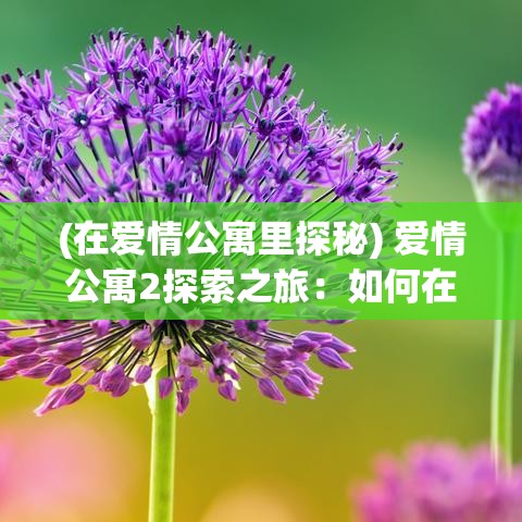 (在爱情公寓里探秘) 爱情公寓2探索之旅：如何在日常喧嚣中寻找爱与友情的终极指南